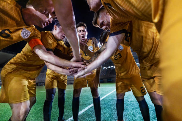 东北虎失利 东北虎失利